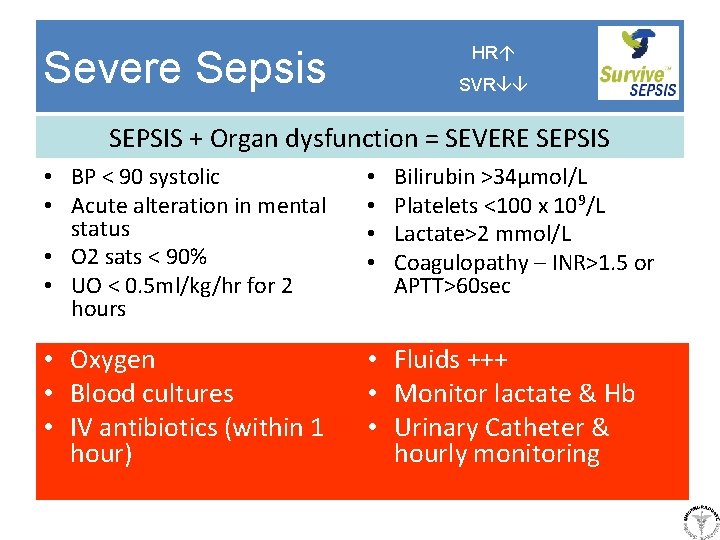 HR Severe Sepsis SVR SEPSIS + Organ dysfunction = SEVERE SEPSIS • BP <