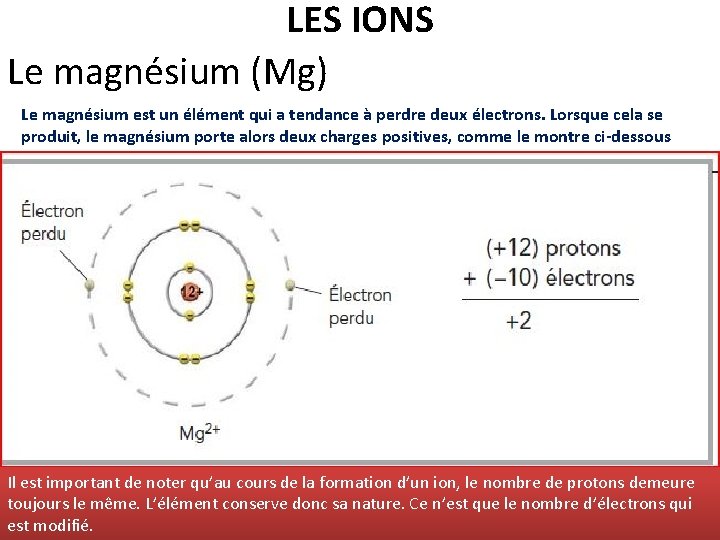 LES IONS Le magnésium (Mg) Le magnésium est un élément qui a tendance à