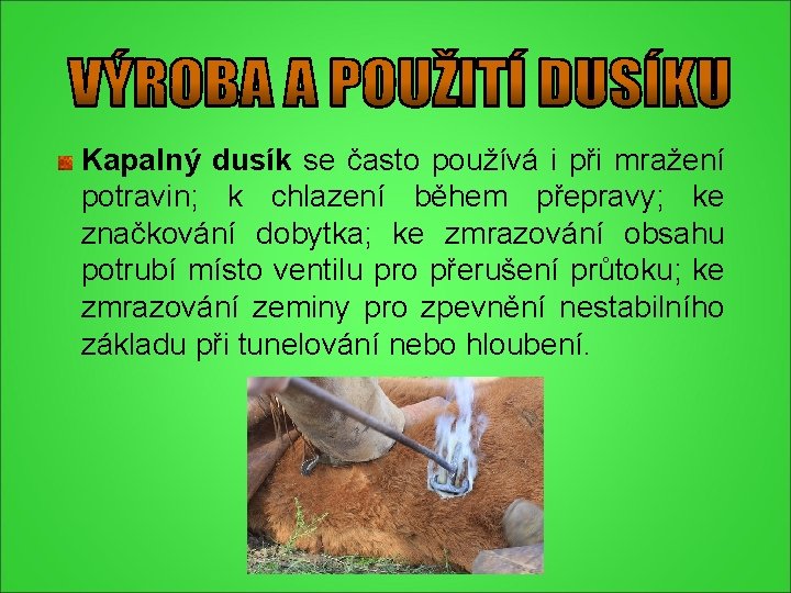 Kapalný dusík se často používá i při mražení potravin; k chlazení během přepravy; ke Kapalný dusík se často používá i při mražení potravin; k chlazení během přepravy; ke