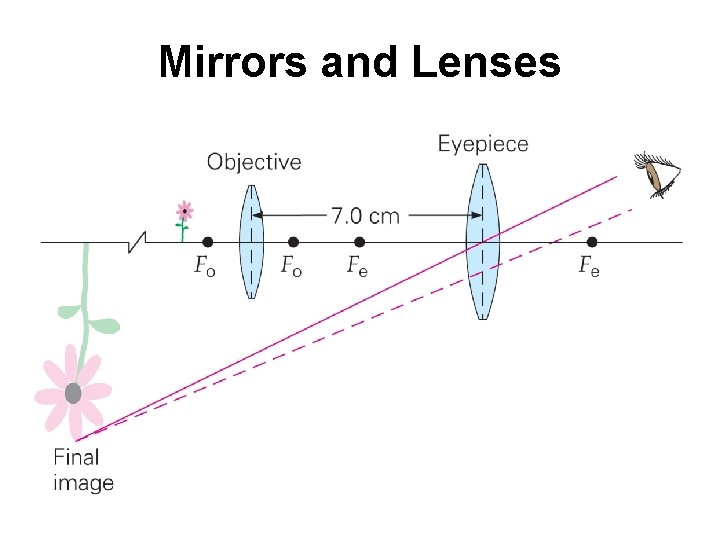 Mirrors and Lenses 