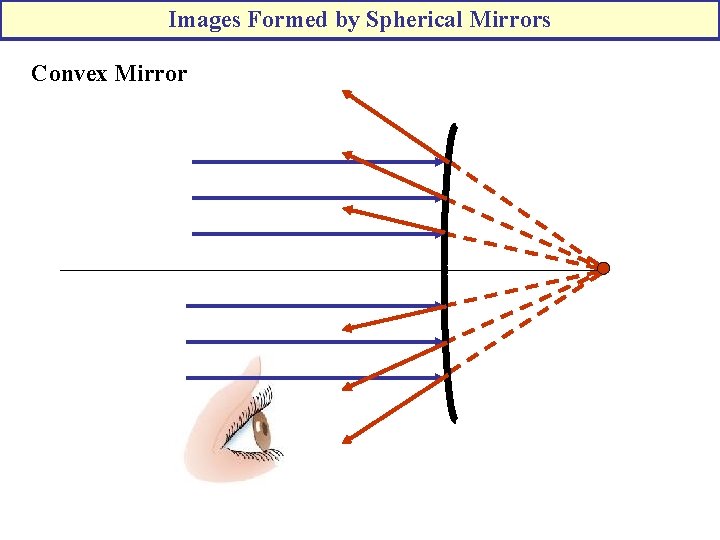 Images Formed by Spherical Mirrors Convex Mirror 