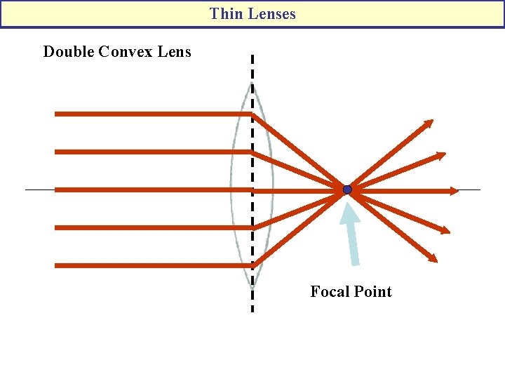 Thin Lenses Double Convex Lens Focal Point 