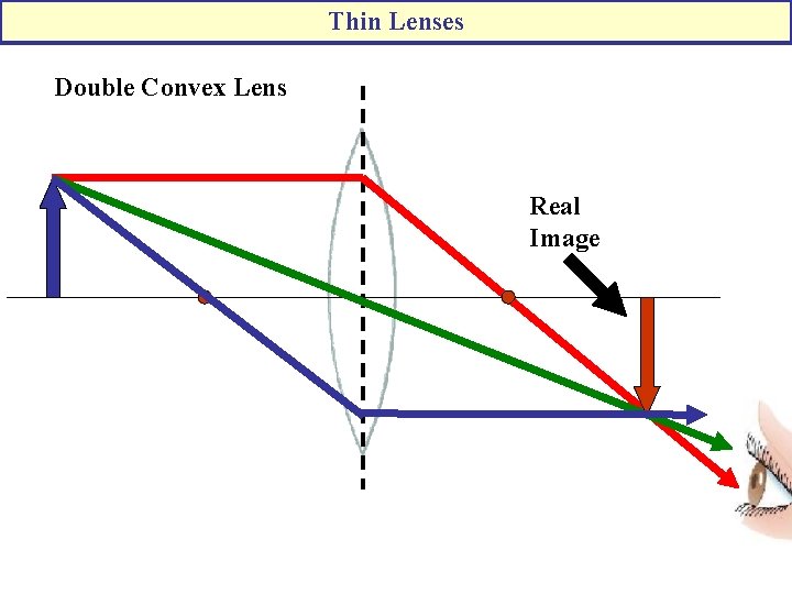 Thin Lenses Double Convex Lens Real Image 