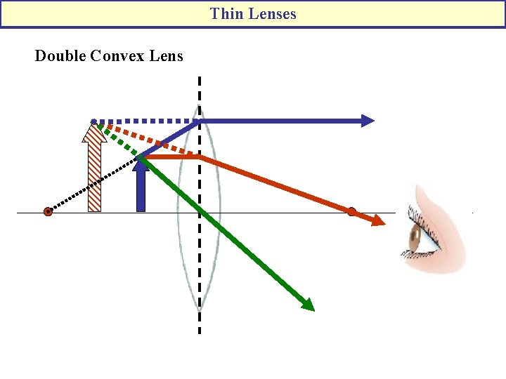 Thin Lenses Double Convex Lens 