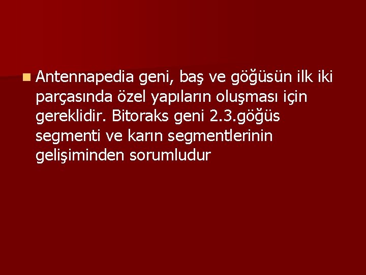 n Antennapedia geni, baş ve göğüsün ilk iki parçasında özel yapıların oluşması için gereklidir.