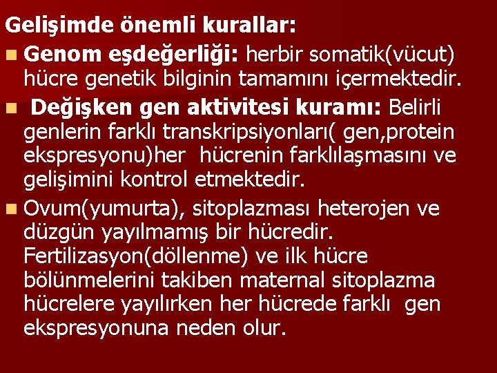 Gelişimde önemli kurallar: n Genom eşdeğerliği: herbir somatik(vücut) hücre genetik bilginin tamamını içermektedir. n