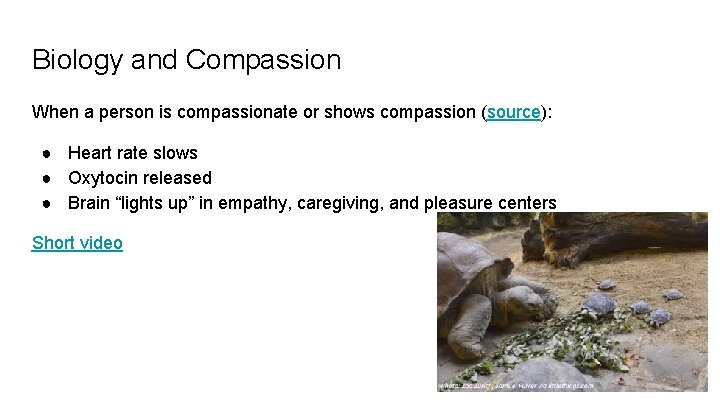 Biology and Compassion When a person is compassionate or shows compassion (source): ● Heart