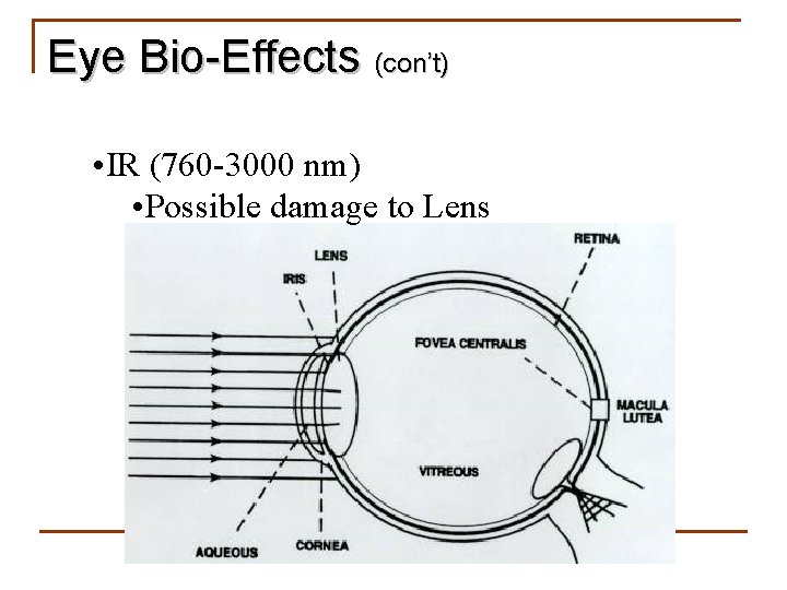 Eye Bio-Effects (con’t) • IR (760 -3000 nm) • Possible damage to Lens 