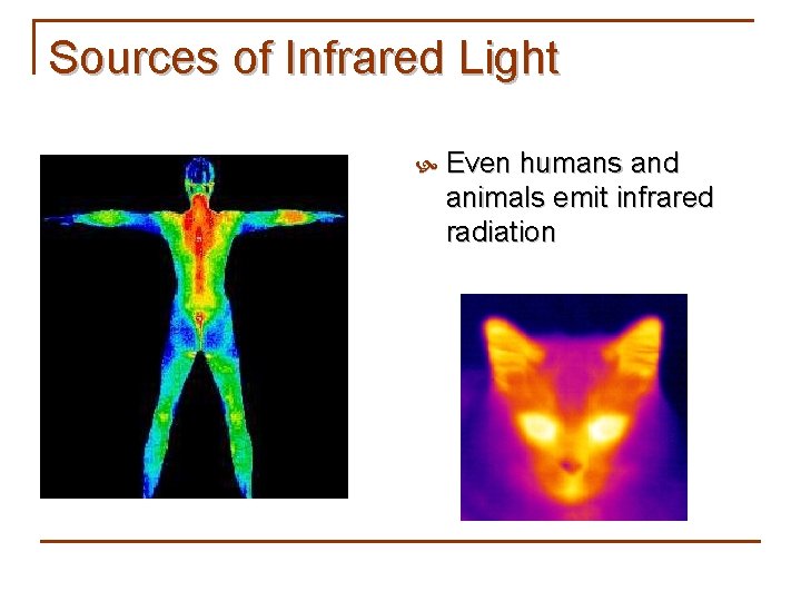 Sources of Infrared Light Even humans and animals emit infrared radiation 