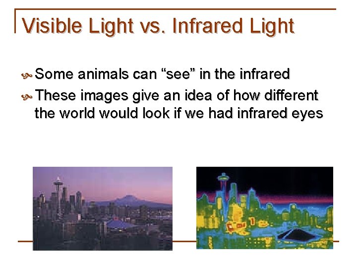 Visible Light vs. Infrared Light Some animals can “see” in the infrared These images