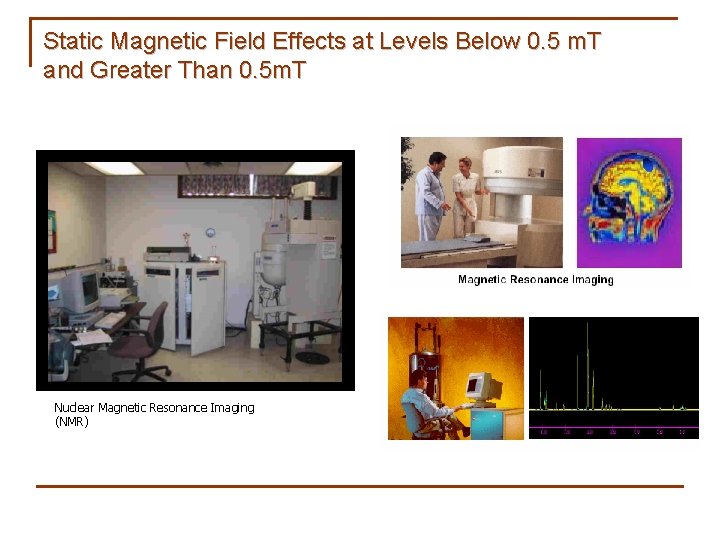 Static Magnetic Field Effects at Levels Below 0. 5 m. T and Greater Than