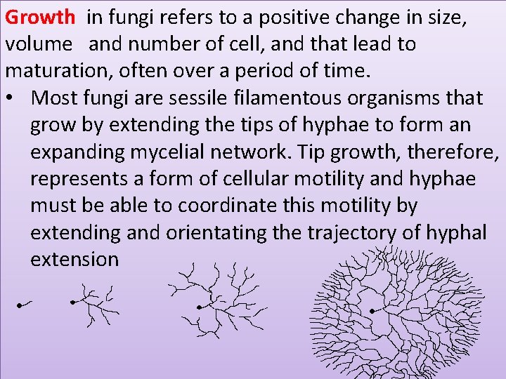 Growth in fungi refers to a positive change in size, volume and number of