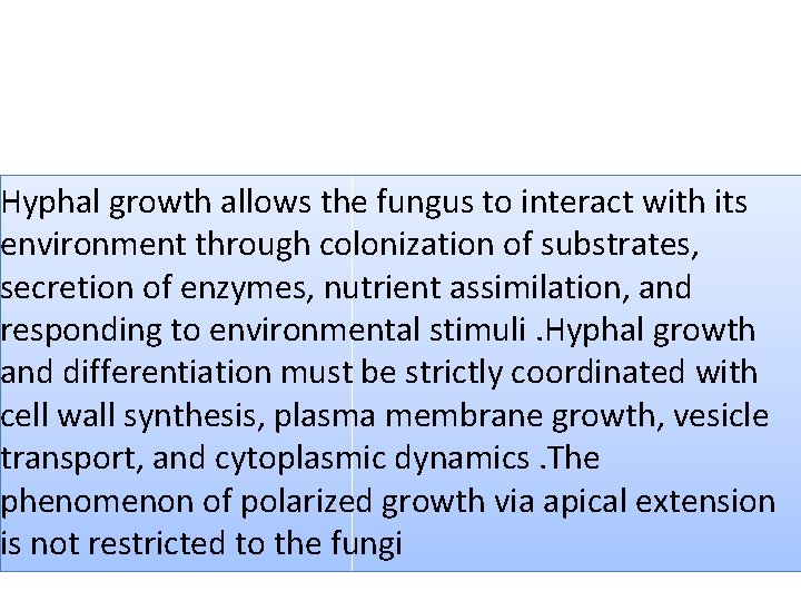 Hyphal growth allows the fungus to interact with its environment through colonization of substrates,