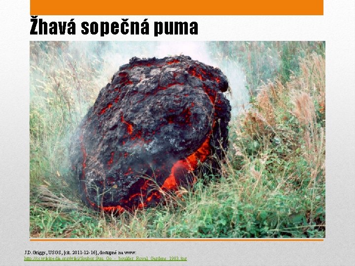 Žhavá sopečná puma J. D. Griggs, USGS, [cit. 2011 -12 -16], dostupné na www: