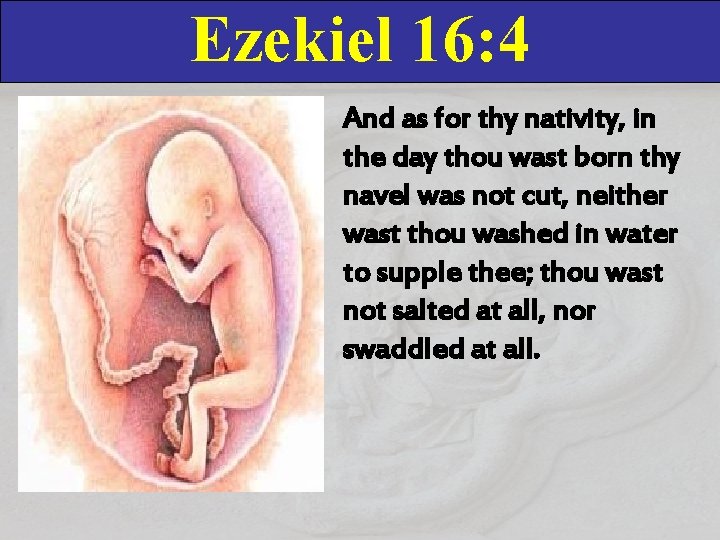 Ezekiel 16: 4 And as for thy nativity, in the day thou wast born Ezekiel 16: 4 And as for thy nativity, in the day thou wast born
