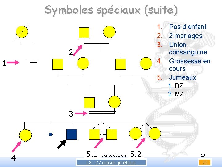 Symboles spéciaux (suite) 1. 2. 3. Pas d’enfant 2 mariages Union consanguine 4. Grossesse