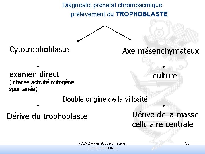 Diagnostic prénatal chromosomique prélèvement du TROPHOBLASTE Cytotrophoblaste Axe mésenchymateux examen direct culture (intense activité