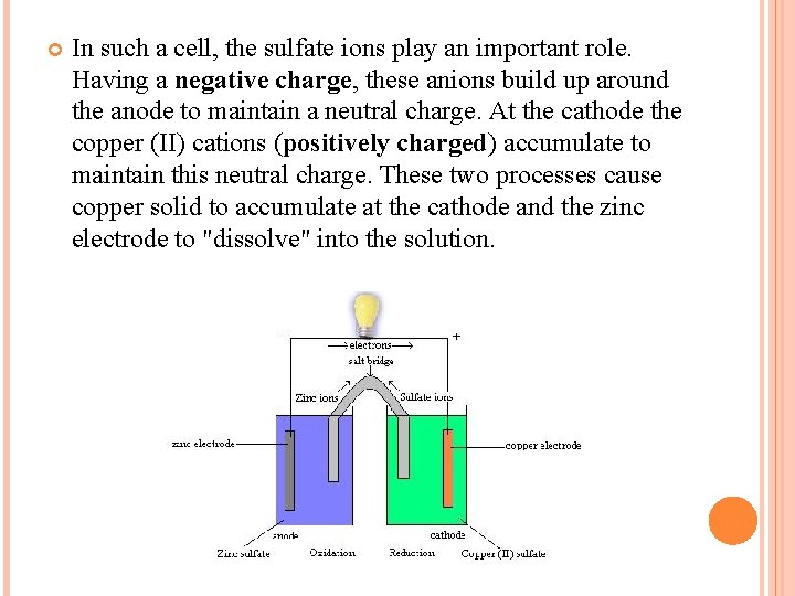  In such a cell, the sulfate ions play an important role. Having a