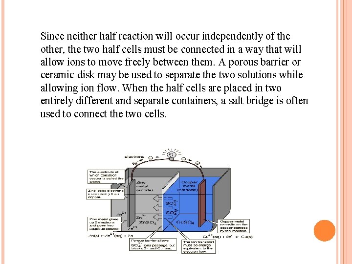 Since neither half reaction will occur independently of the other, the two half cells