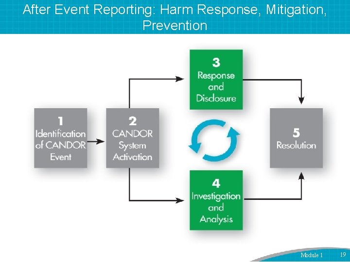 After Event Reporting: Harm Response, Mitigation, Prevention Module 1 19 