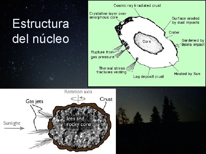 Estructura del núcleo 