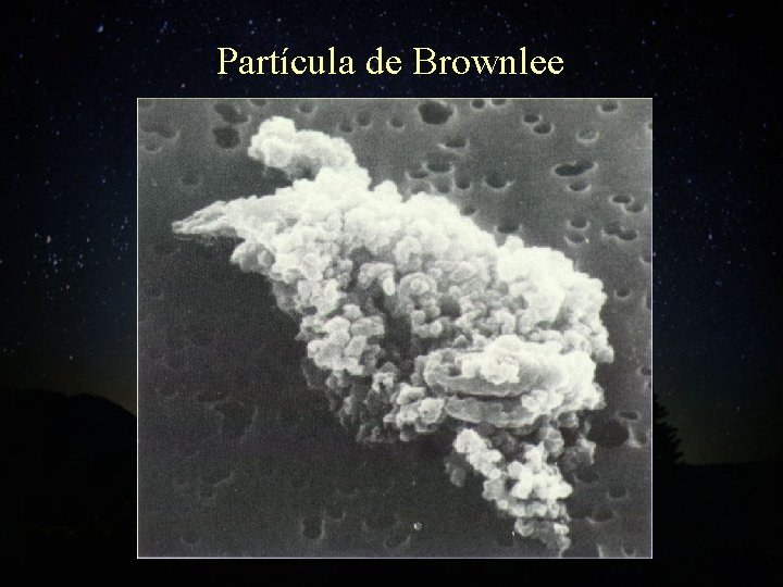 Partícula de Brownlee 