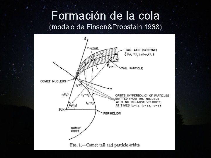 Formación de la cola (modelo de Finson&Probstein 1968) 