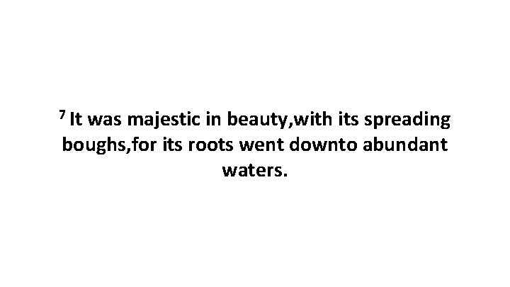 7 It was majestic in beauty, with its spreading boughs, for its roots went