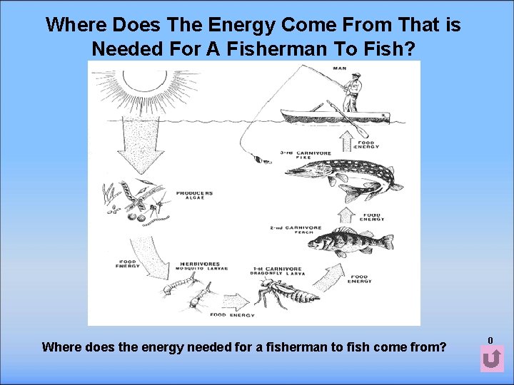Where Does The Energy Come From That is Needed For A Fisherman To Fish?