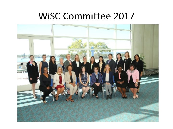 Wi. SC Committee 2017 