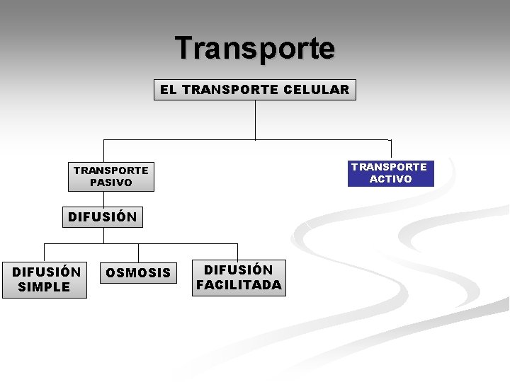 Transporte EL TRANSPORTE CELULAR TRANSPORTE ACTIVO TRANSPORTE PASIVO DIFUSIÓN SIMPLE OSMOSIS DIFUSIÓN FACILITADA 