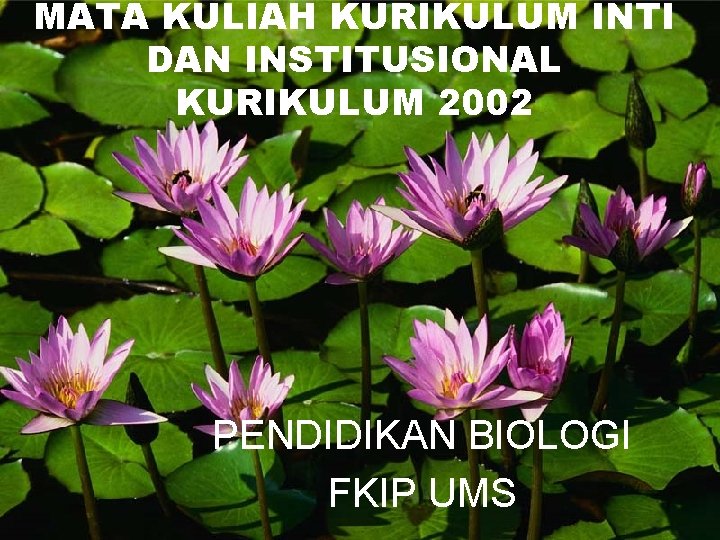 MATA KULIAH KURIKULUM INTI DAN INSTITUSIONAL KURIKULUM 2002 PENDIDIKAN BIOLOGI FKIP UMS 