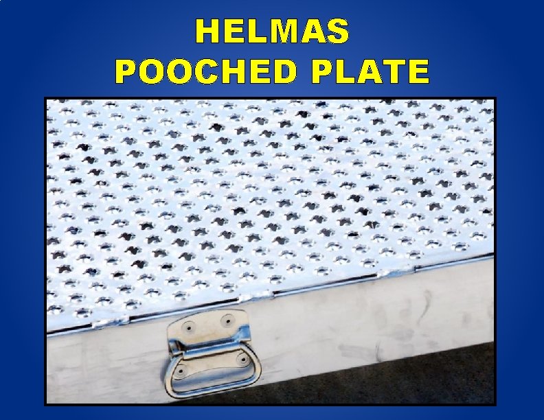 HELMAS POOCHED PLATE 