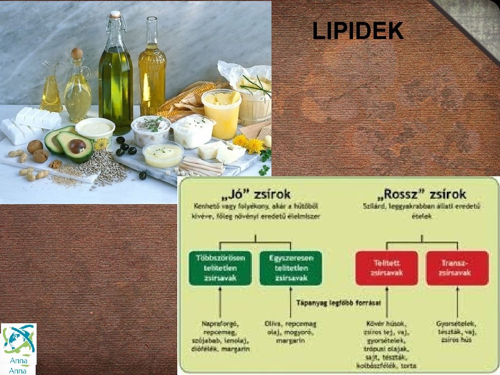 LIPIDEK 