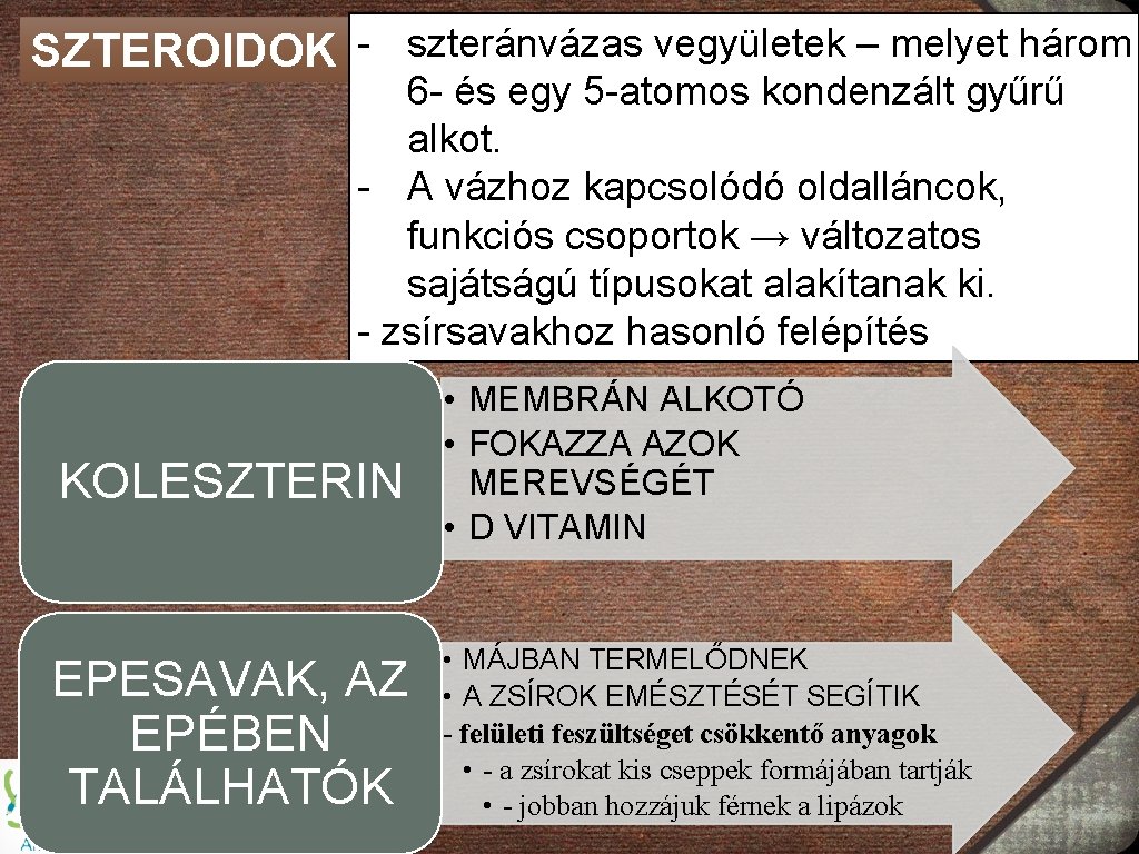 SZTEROIDOK - szteránvázas vegyületek – melyet három 6 - és egy 5 -atomos kondenzált