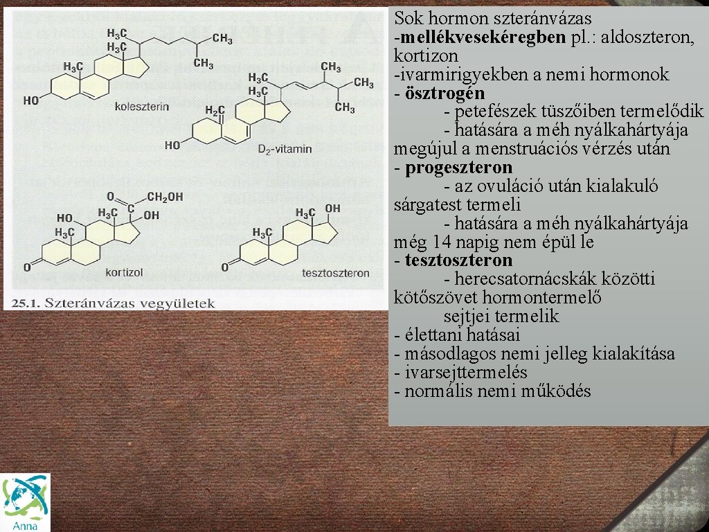 Sok hormon szteránvázas -mellékvesekéregben pl. : aldoszteron, kortizon -ivarmirigyekben a nemi hormonok - ösztrogén