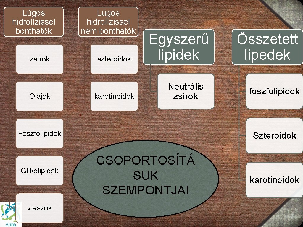 Lúgos hidrolízissel bonthatók zsírok Olajok Lúgos hidrolízissel nem bonthatók szteroidok karotinoidok Egyszerű lipidek Neutrális