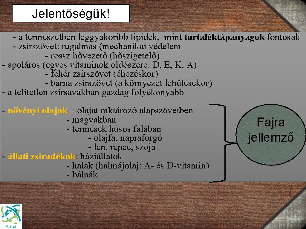 Jelentőségük! - a természetben leggyakoribb lipidek, mint tartaléktápanyagok fontosak - zsírszövet: rugalmas (mechanikai védelem