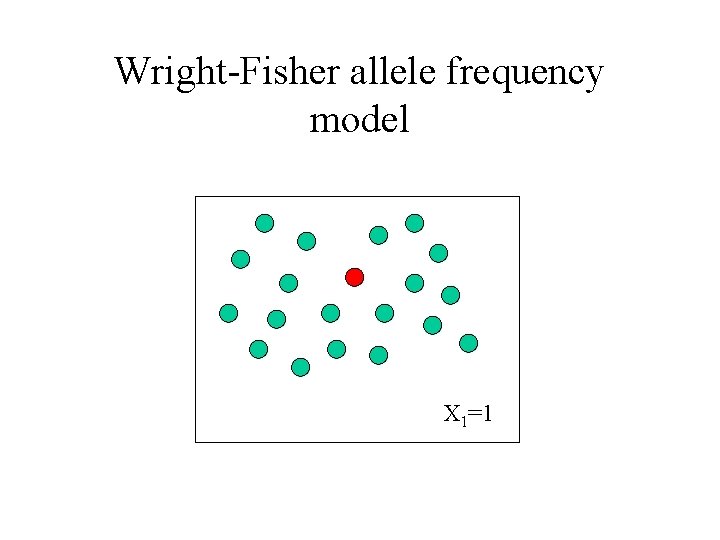 Wright-Fisher allele frequency model X 1=1 