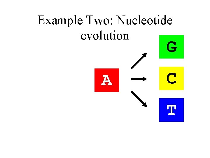 Example Two: Nucleotide evolution G A C T 