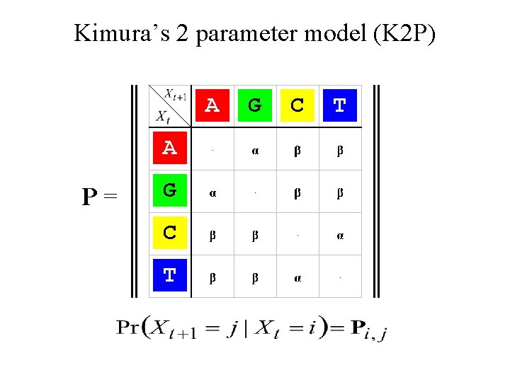 Kimura’s 2 parameter model (K 2 P) A A P= G C T 
