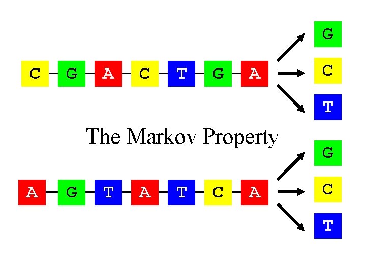 G C G A C T The Markov Property A G T A T