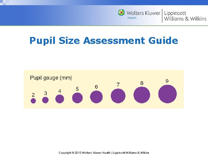 Pupil Size Assessment Guide Copyright © 2013 Wolters Kluwer Health | Lippincott Williams &