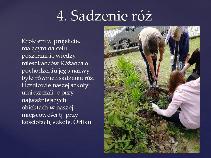 4. Sadzenie róż Krokiem w projekcie, mającym na celu poszerzanie wiedzy mieszkańców Różańca o