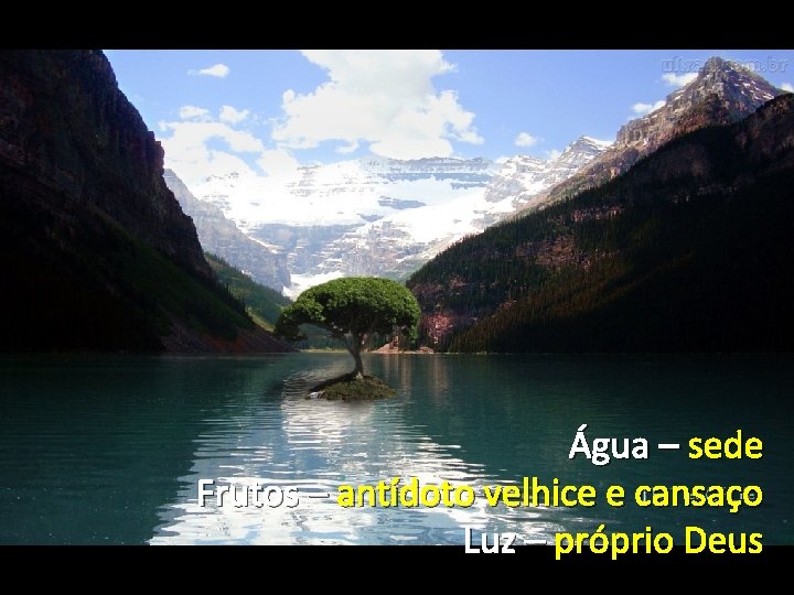 Água – sede Frutos – antídoto velhice e cansaço Luz – próprio Deus 