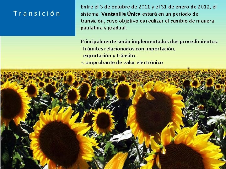 Transición Entre el 3 de octubre de 2011 y el 31 de enero de