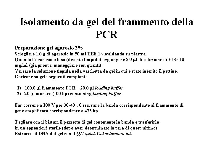 Isolamento da gel del frammento della PCR Preparazione gel agarosio 2% Sciogliere 1. 0