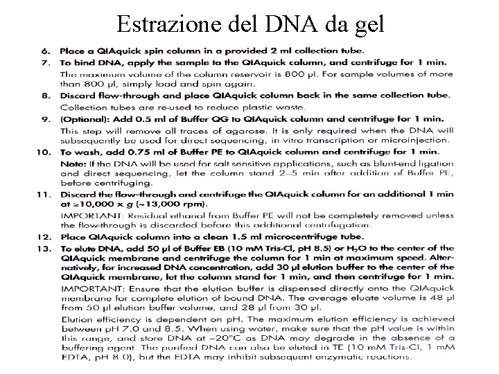 Estrazione del DNA da gel 