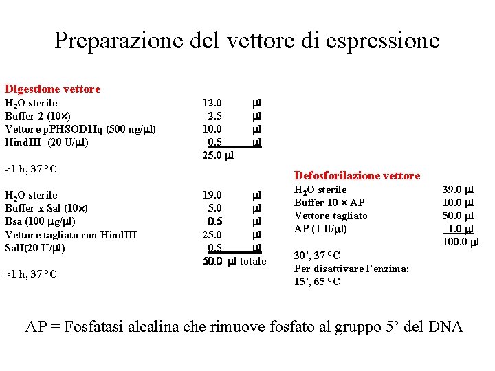 Preparazione del vettore di espressione Digestione vettore H 2 O sterile Buffer 2 (10