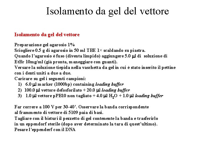 Isolamento da gel del vettore Preparazione gel agarosio 1% Sciogliere 0. 5 g di